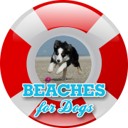 Stalbridge Info Guide to Dorset Beaches For Dogs