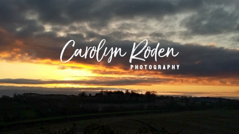 Carolyn Roden Photography