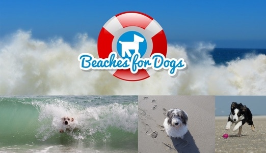 Stalbridge Info guide to Dog walking beaches
